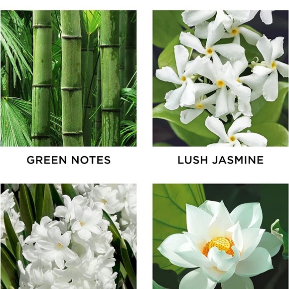 NEST Fragrances Other Nest Bamboo Candle Poshmark